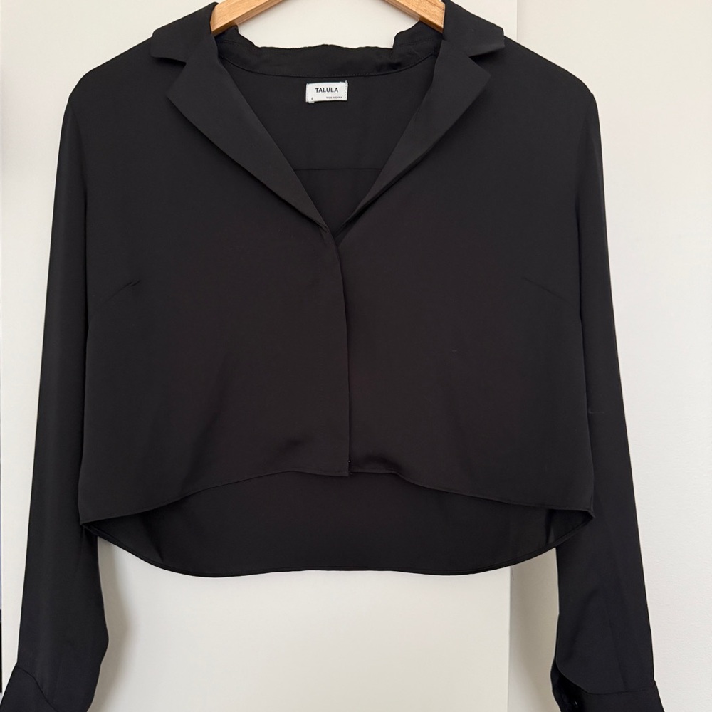 Aritzia crop silk button up